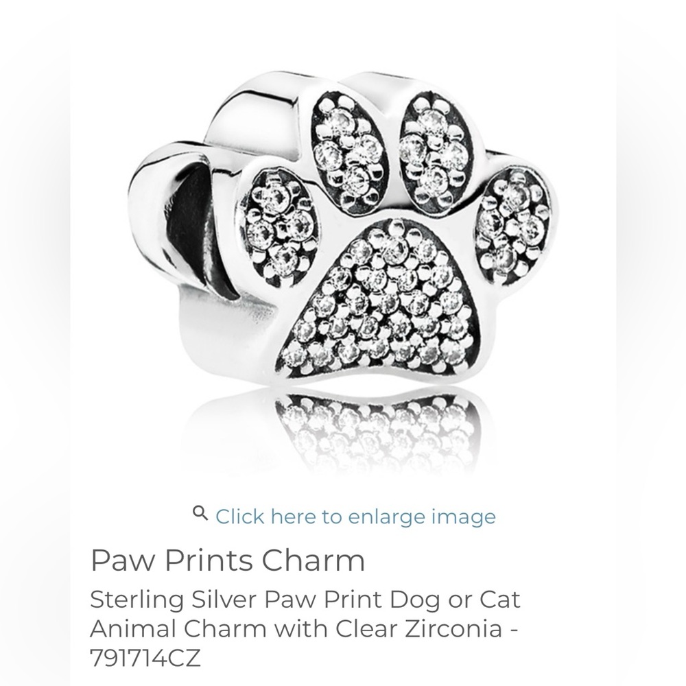 Sterling Silver Paw Print Dog or Cat Animal Charm with Clear Zirconia - 791714CZ